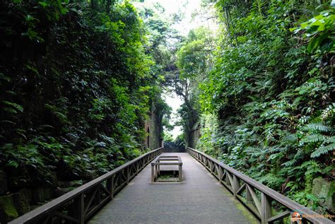 Il Ponte di Sarushima: Un Viaggio di Pennellate Fluide e Profondità Contemplativa!